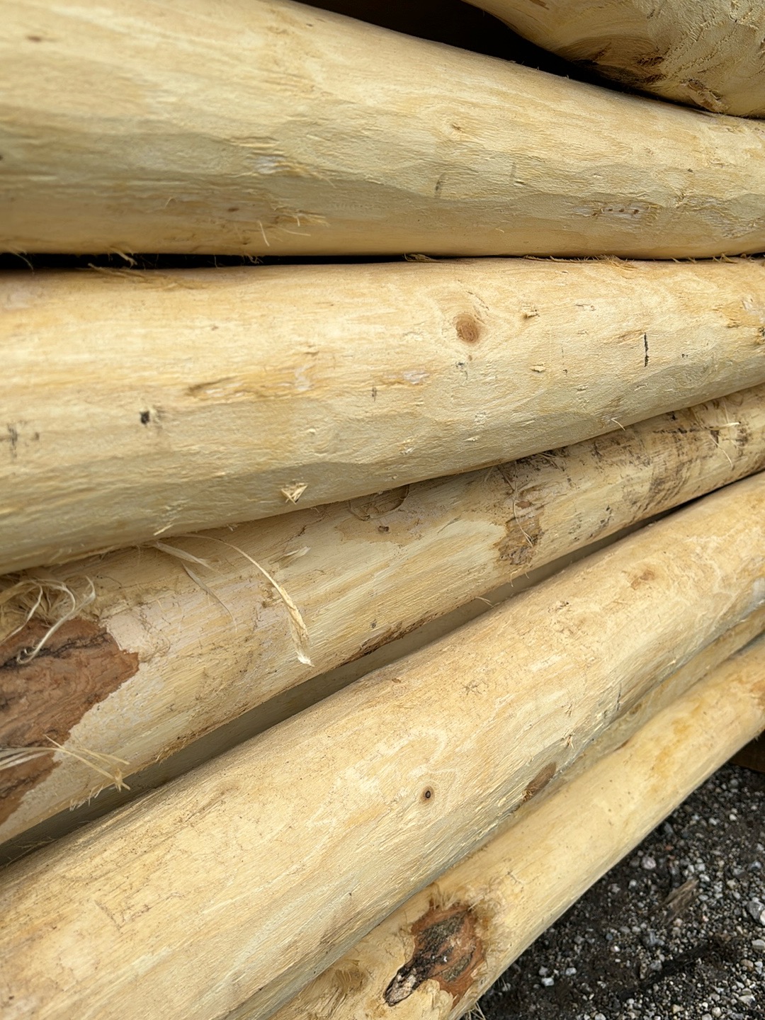 Bild 1 von Anzeige: Akazien/Robinien Pfähle