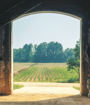 Open Bauernhof
