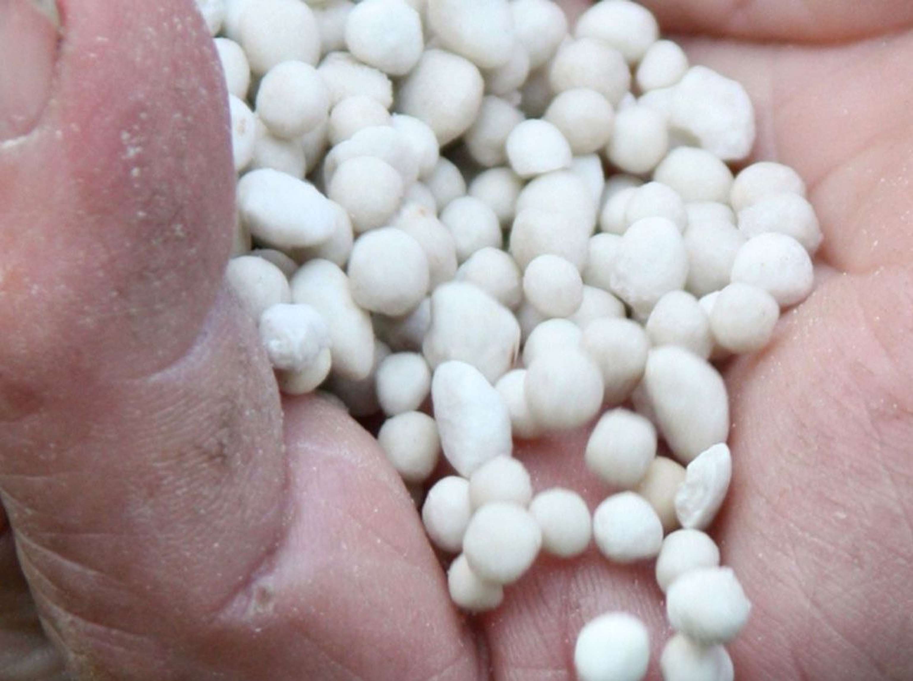 2408 0601 Duengerfoto