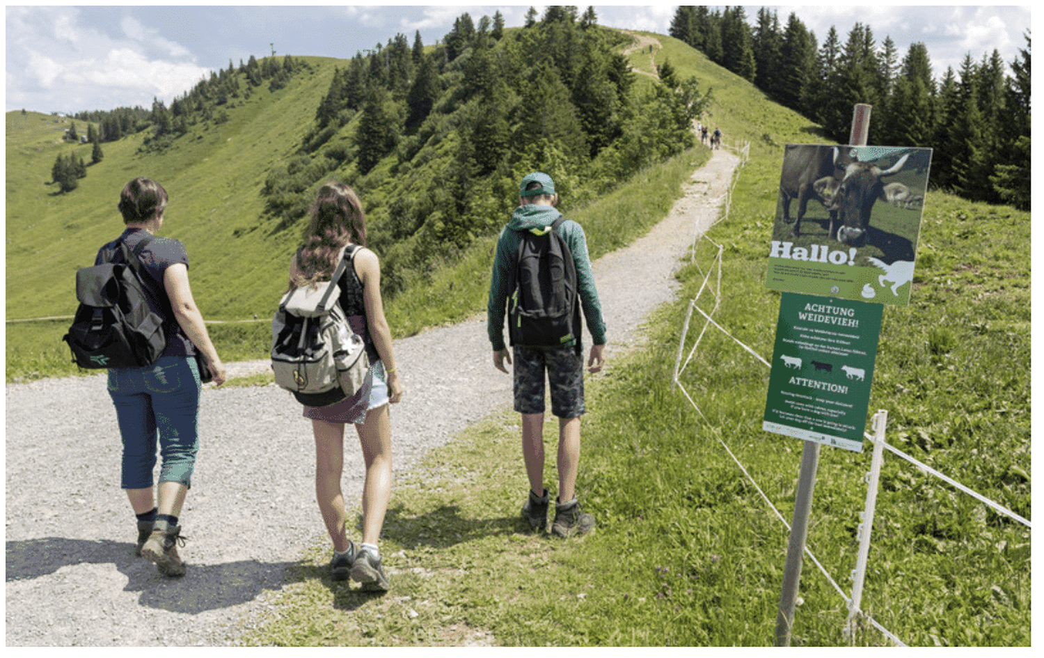 Wanderer in Tirol sind beim Betreten von Weiden nun in der Haftung.