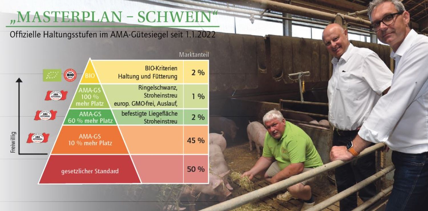 Beim AMA-Güte-siegel gibt es drei Ebenen, die freiwillig erfüllt werden können: „AMA-Gütesiegel-Basis“ und die beiden Tierwohl-module „TW 60“ und „TW 100“. Darüber gibt es noch Bio-Haltung, darunter konventionelle Schweinehaltung auf gesetzlichem Niveau.