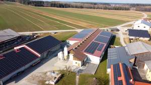 PV Anlage Hipp(c) LK NOE Anna Gindl