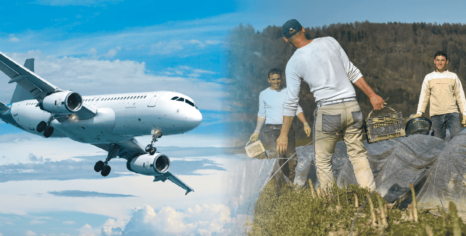 Deutschland lässt in den kommenden zwei Monaten 80.000 landwirtschaftliche Arbeitskräfte als Erntehelfer einfliegen. In Österreich ist man angesichts wachsender Arbeitslosenzahlen zurückhaltend.