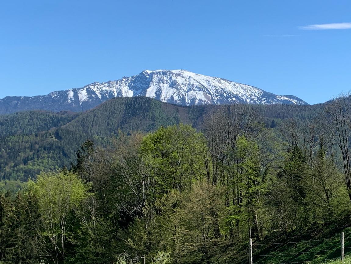 Bild von Anzeige: Wald 34,6ha Nähe Scheibbs