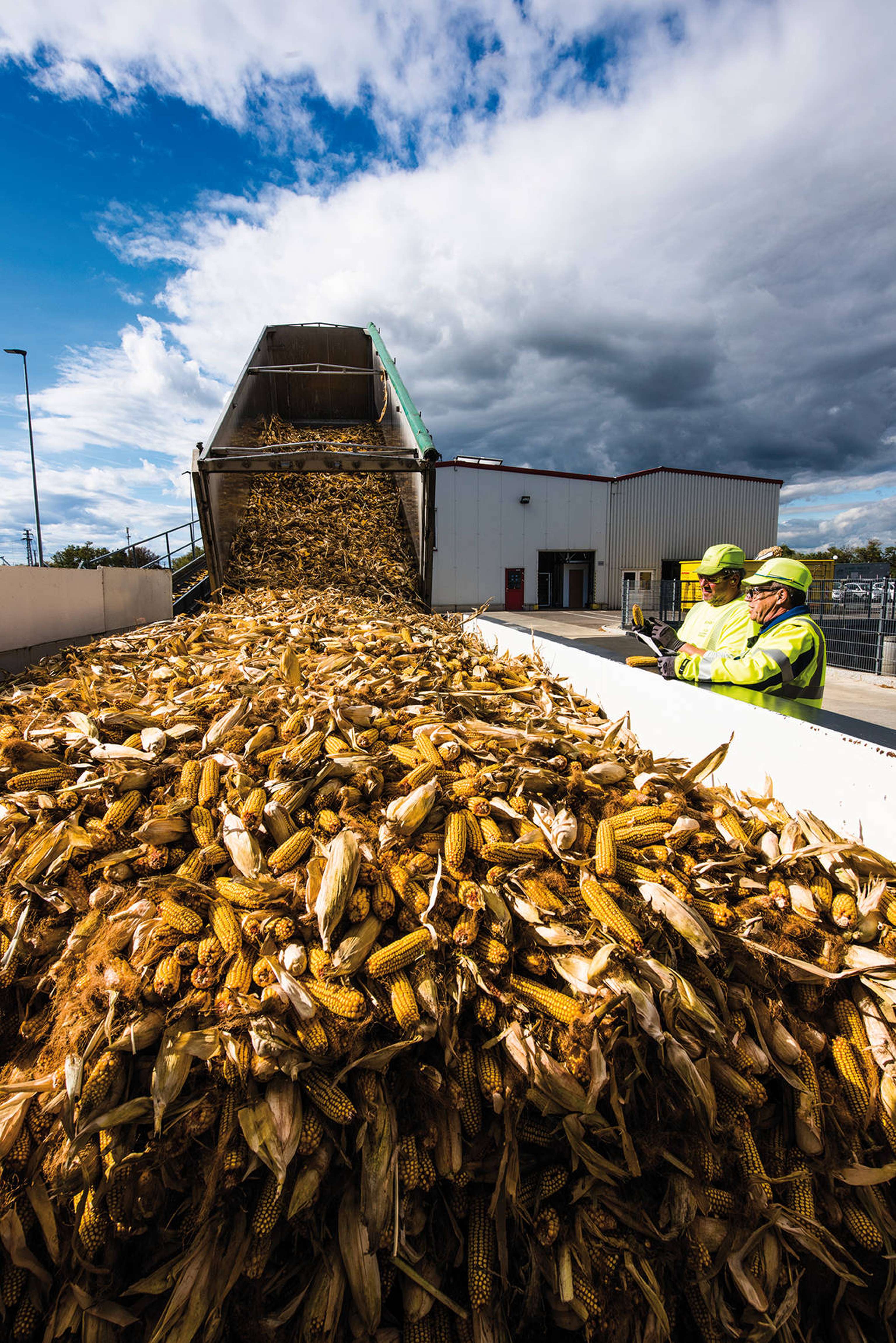 Pioneer-Maisanlieferung in Parndorf