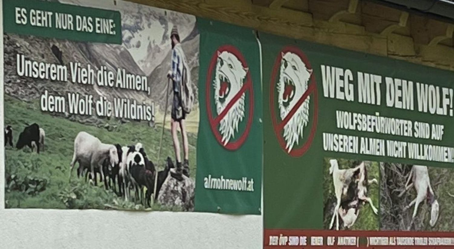 Plakate Wolf