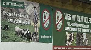 Plakate Wolf