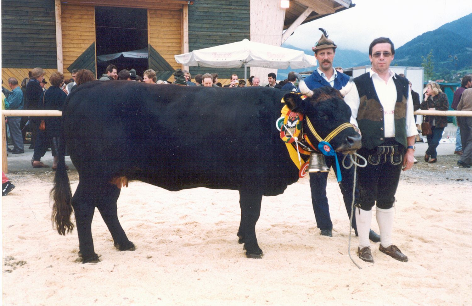 Bundeschampion 96 Wolke
