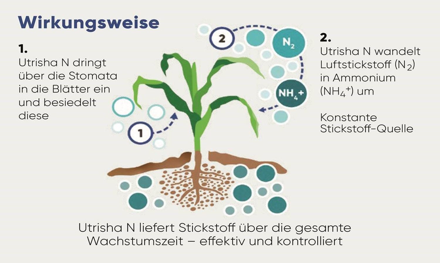 Bild-2.jpg