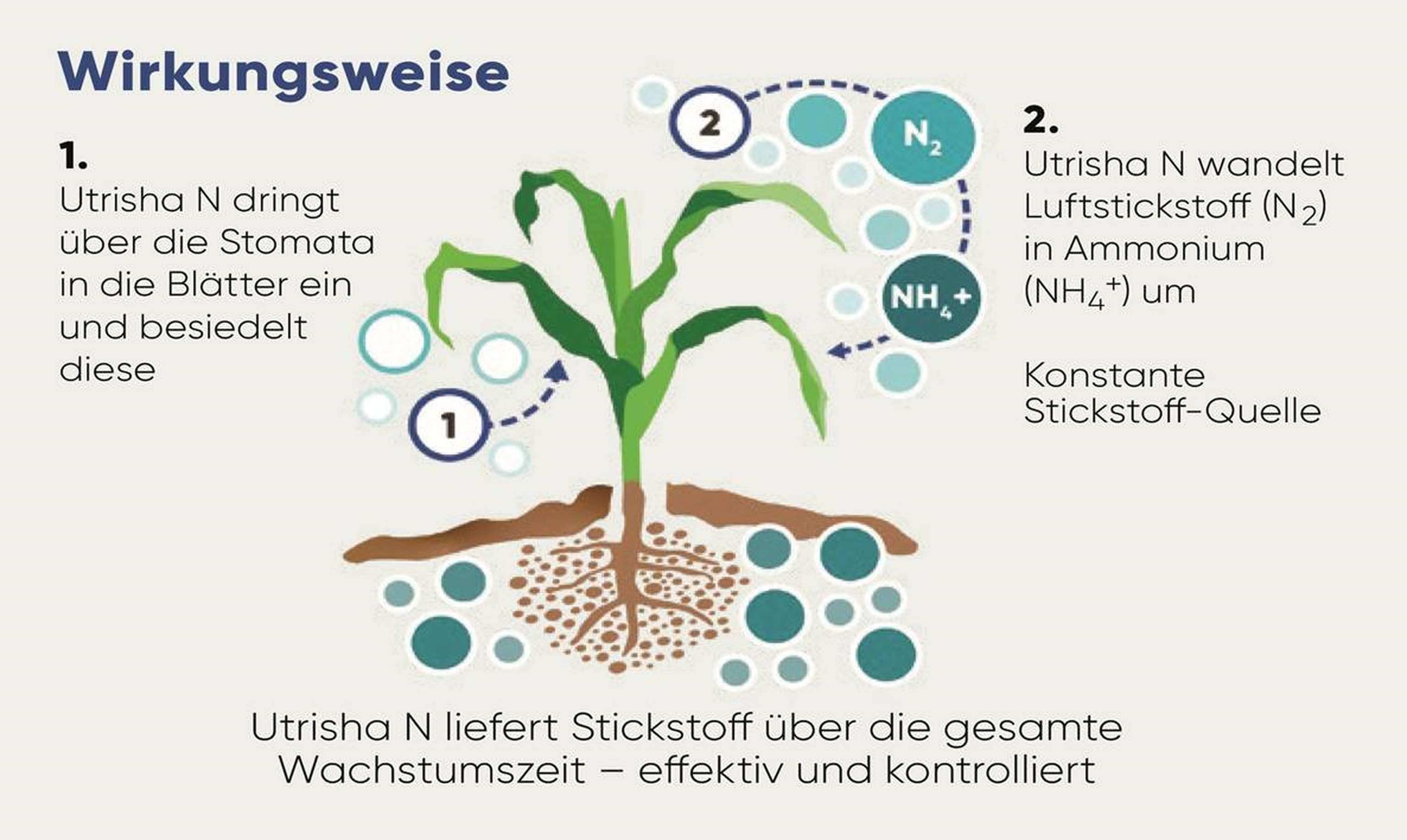 Bild-2.jpg