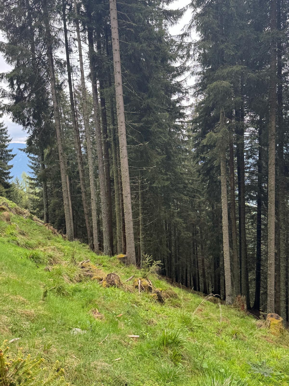 Bild 8 von Anzeige: Verkauf Wand Grundstück 