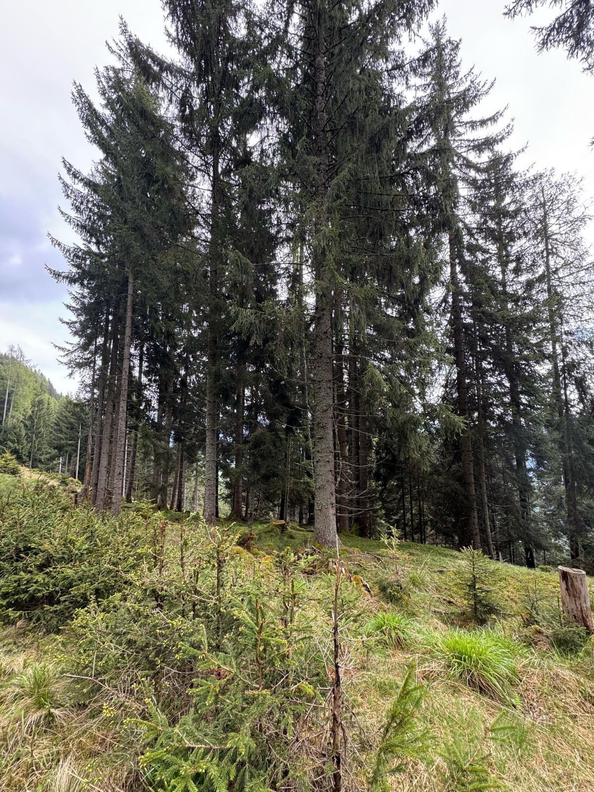 Bild 1 von Anzeige: Verkauf Wand Grundstück 