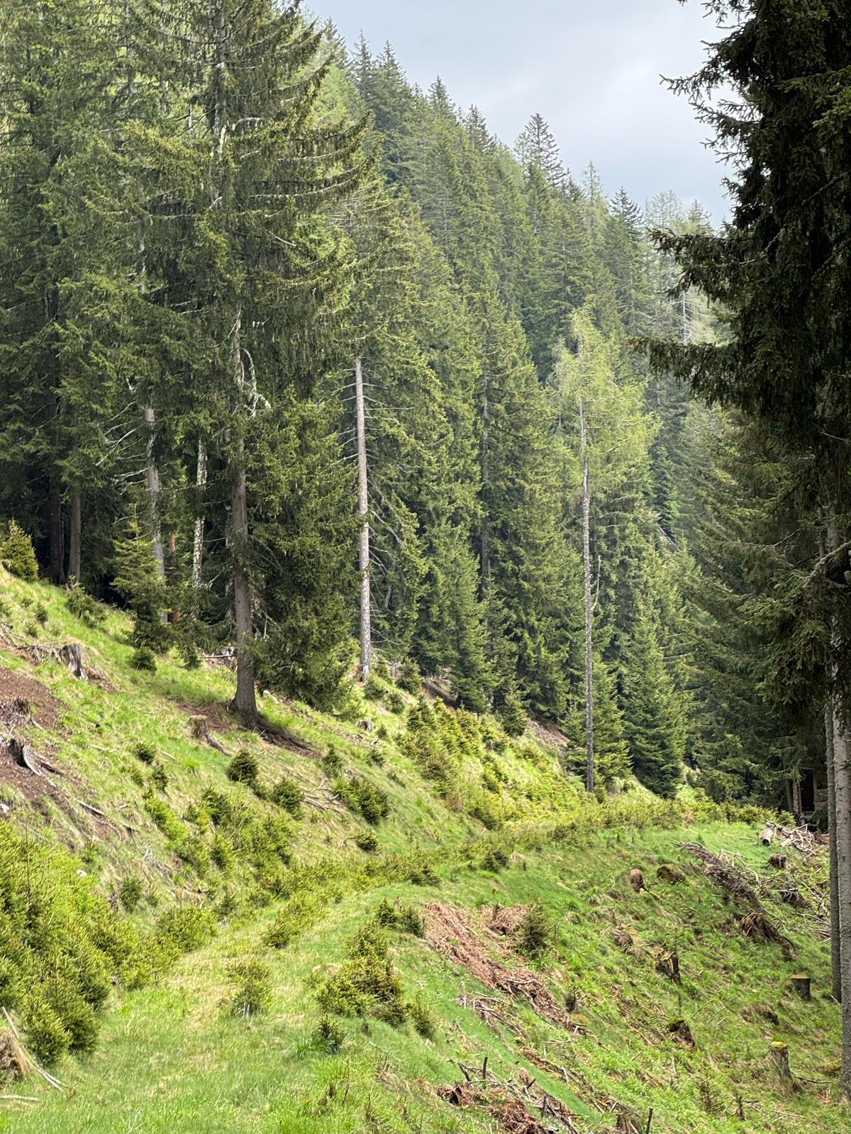 Bild 2 von Anzeige: Verkauf Wand Grundstück 