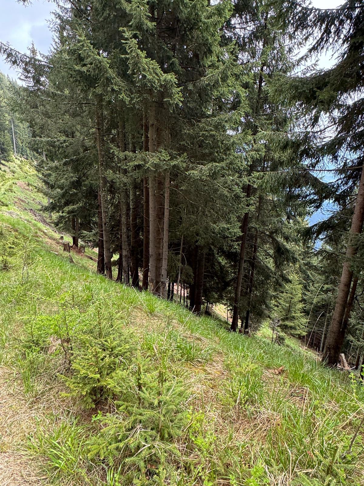 Bild 3 von Anzeige: Verkauf Wand Grundstück 