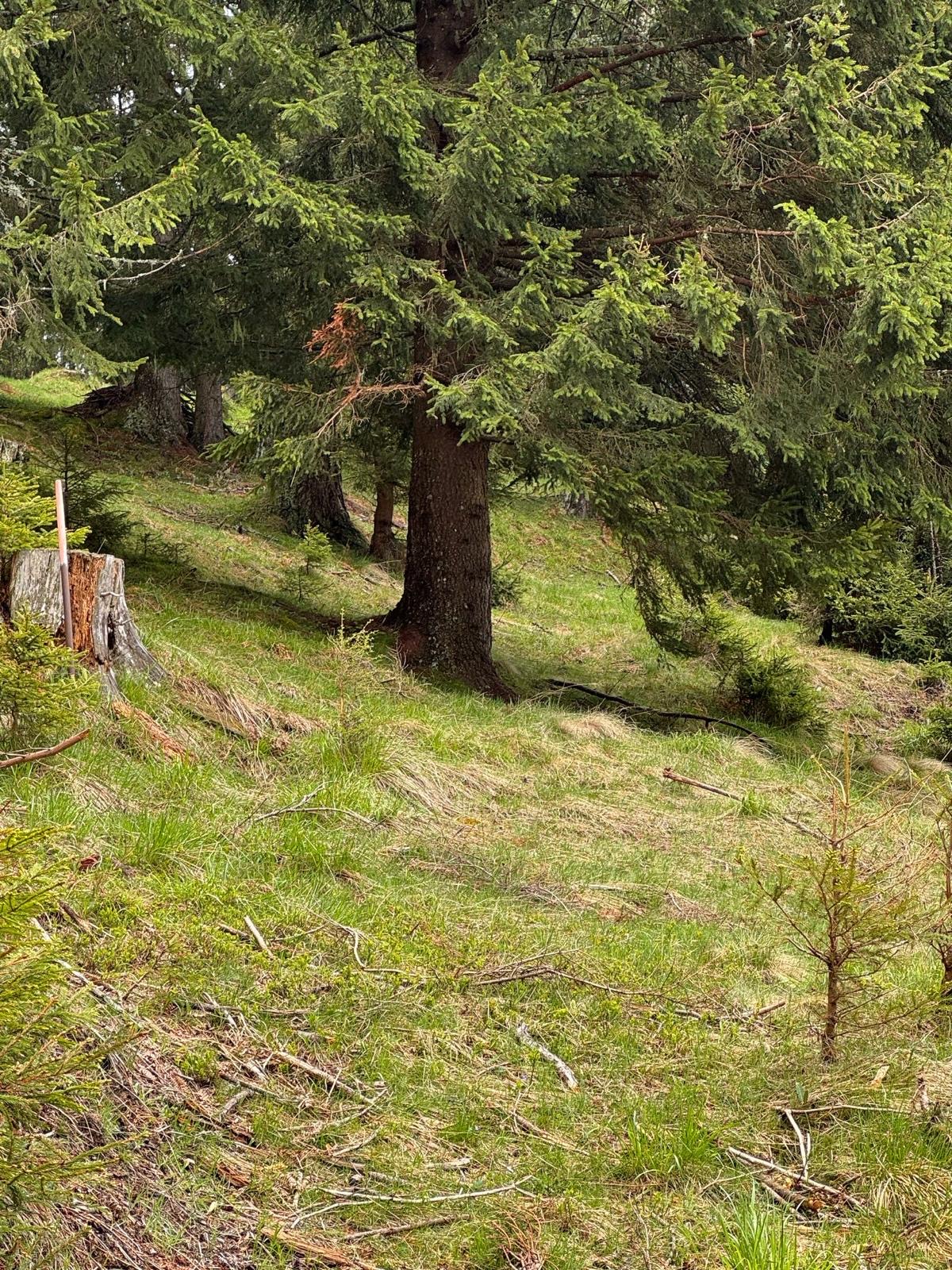 Bild von Anzeige: Verkauf Wand Grundstück 