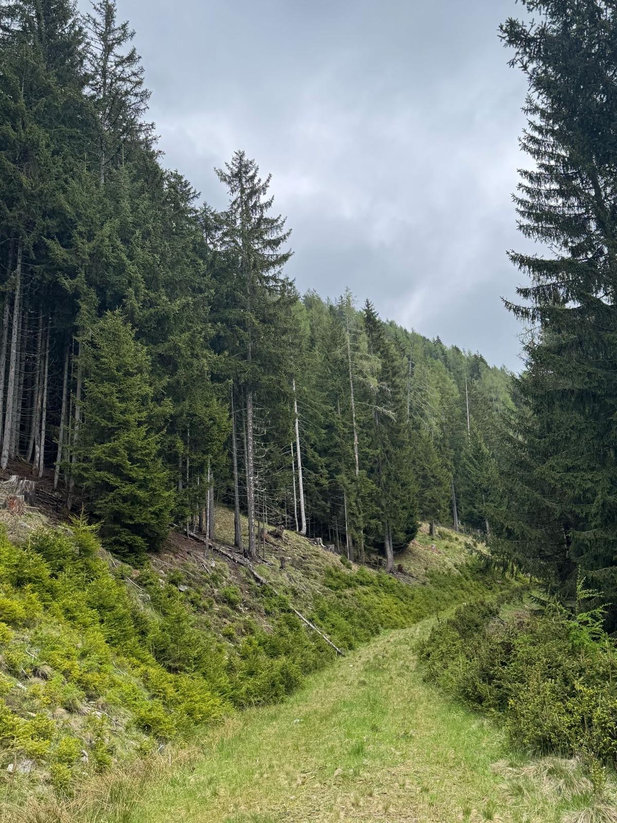 Bild 9 von Anzeige: Verkauf Wand Grundstück 