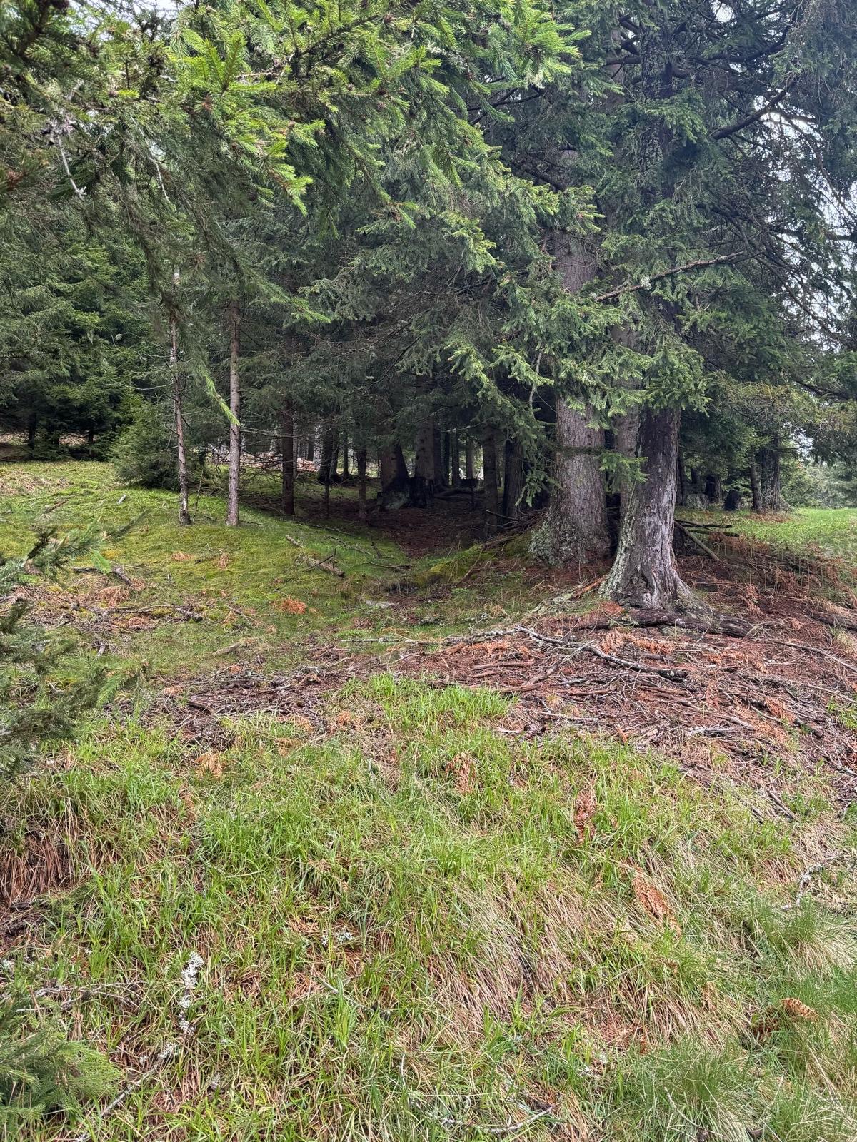 Bild 5 von Anzeige: Verkauf Wand Grundstück 