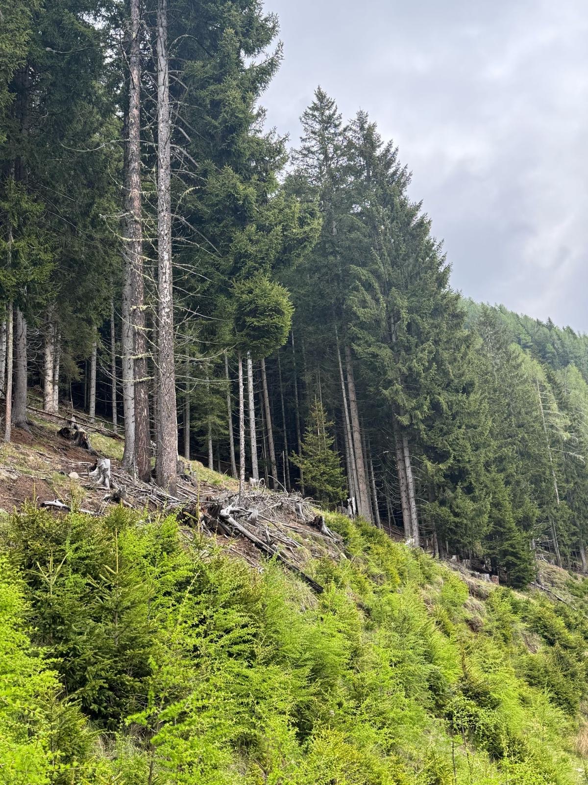 Bild 6 von Anzeige: Verkauf Wand Grundstück 