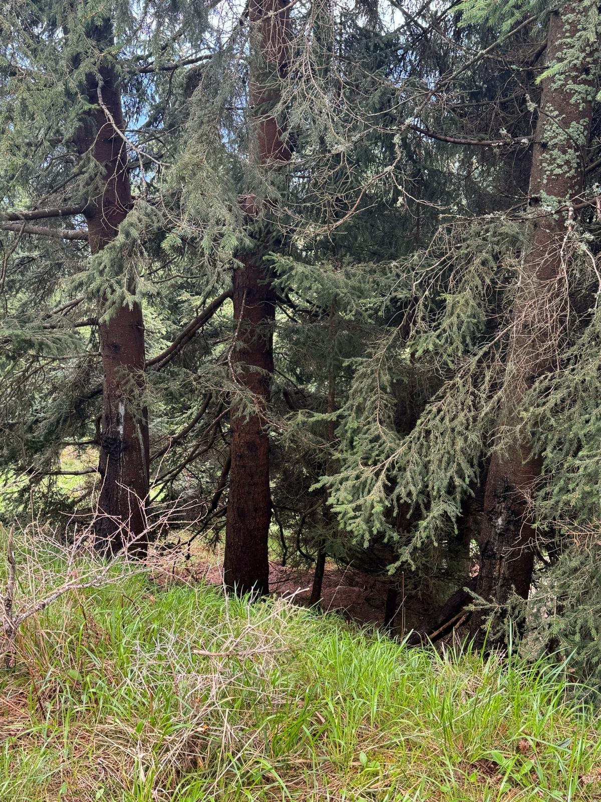 Bild 4 von Anzeige: Verkauf Wand Grundstück 