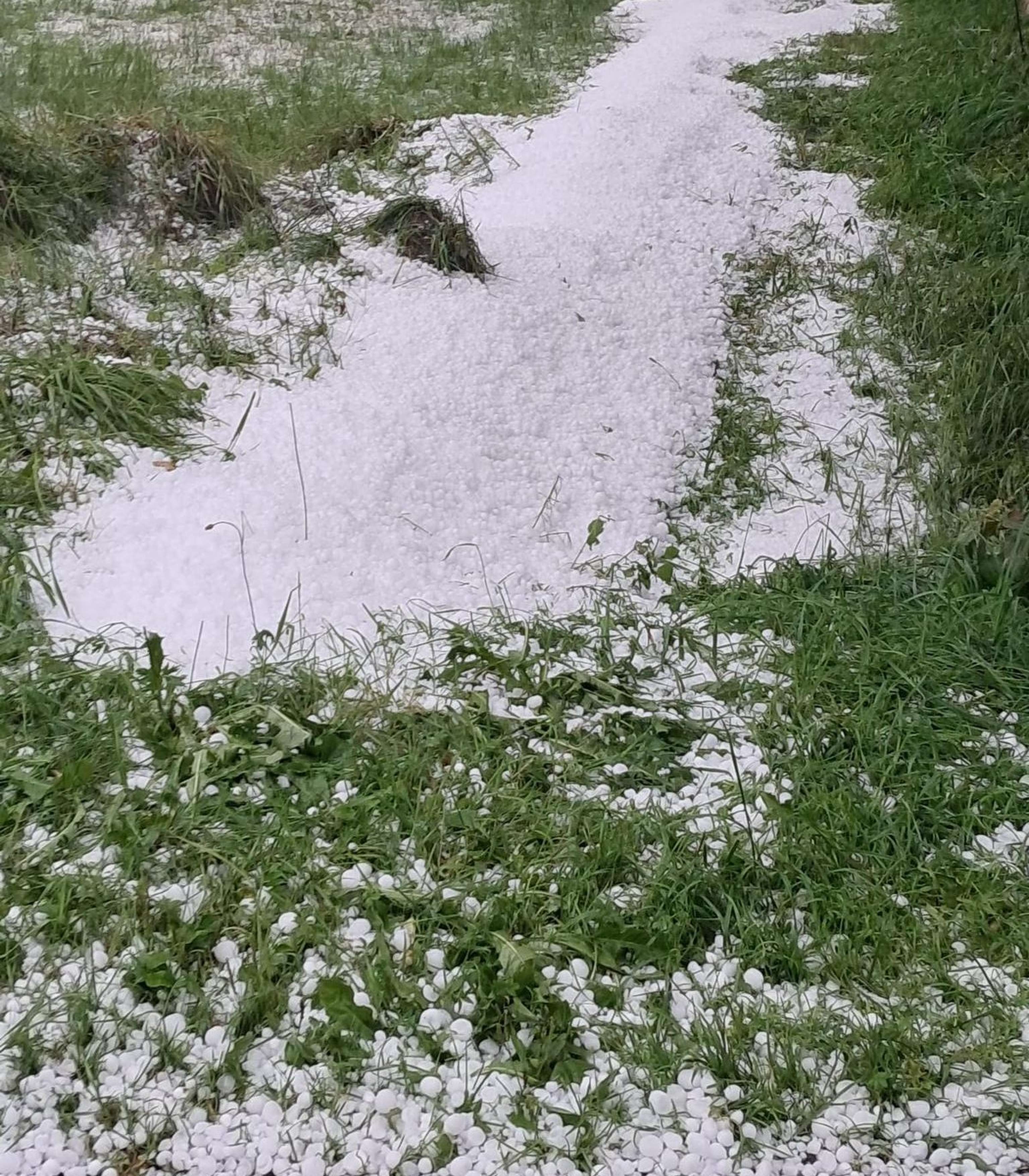 hagelschaden_bei_grunland_in_salzburg