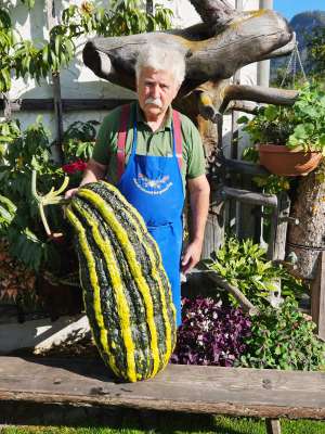 Manfred Gartner 28522 G OGV Nußdorf Debant (6)