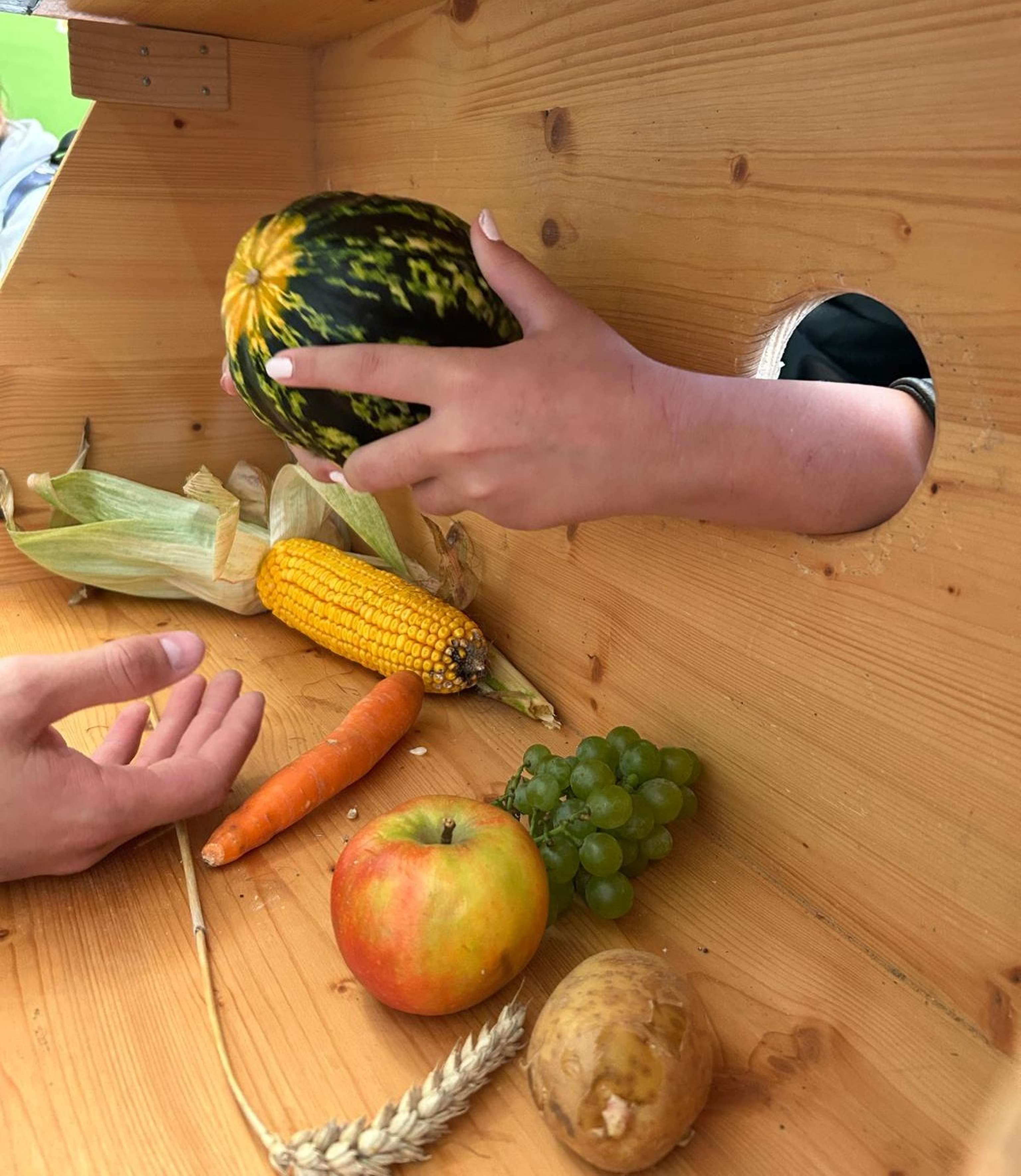 Landwirtschaft begreifen_Taststation