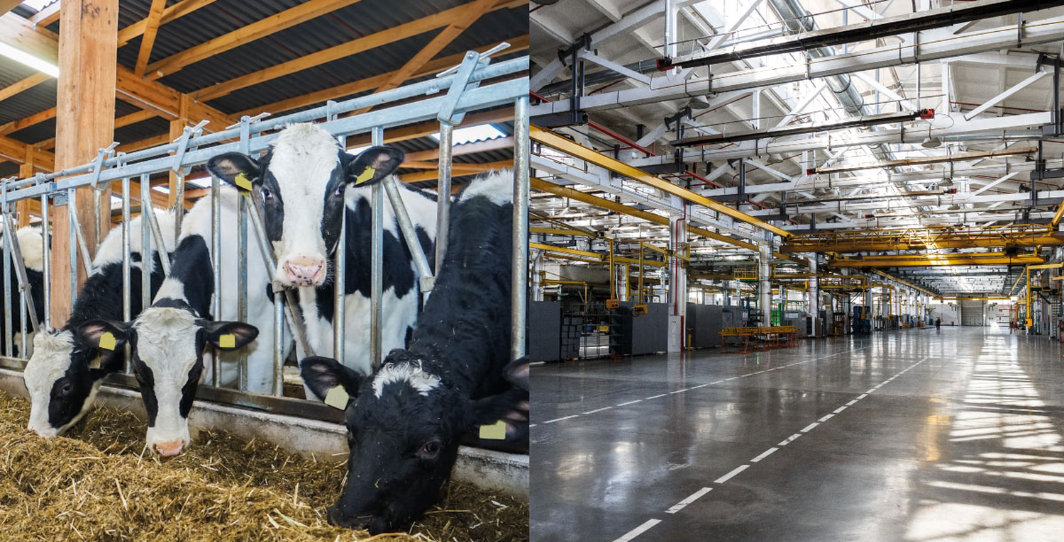 Bis zu 80 Prozent weniger Stromkosten mit farmLED-Systemen