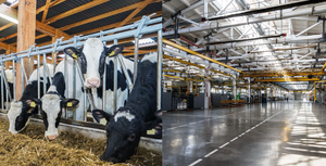 Bis zu 80 Prozent weniger Stromkosten mit farmLED-Systemen