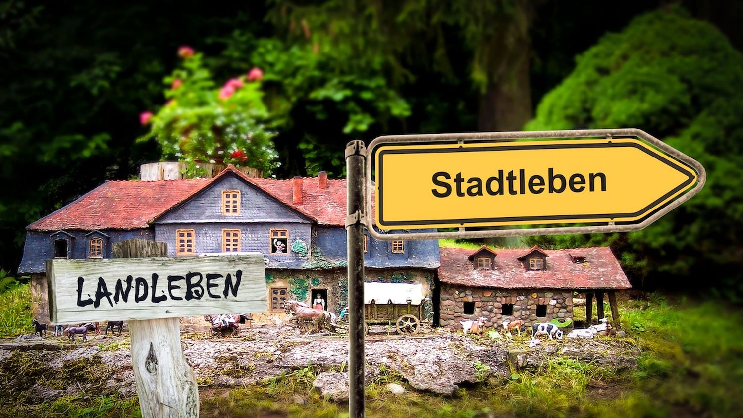 Schild 371 Stadtleben