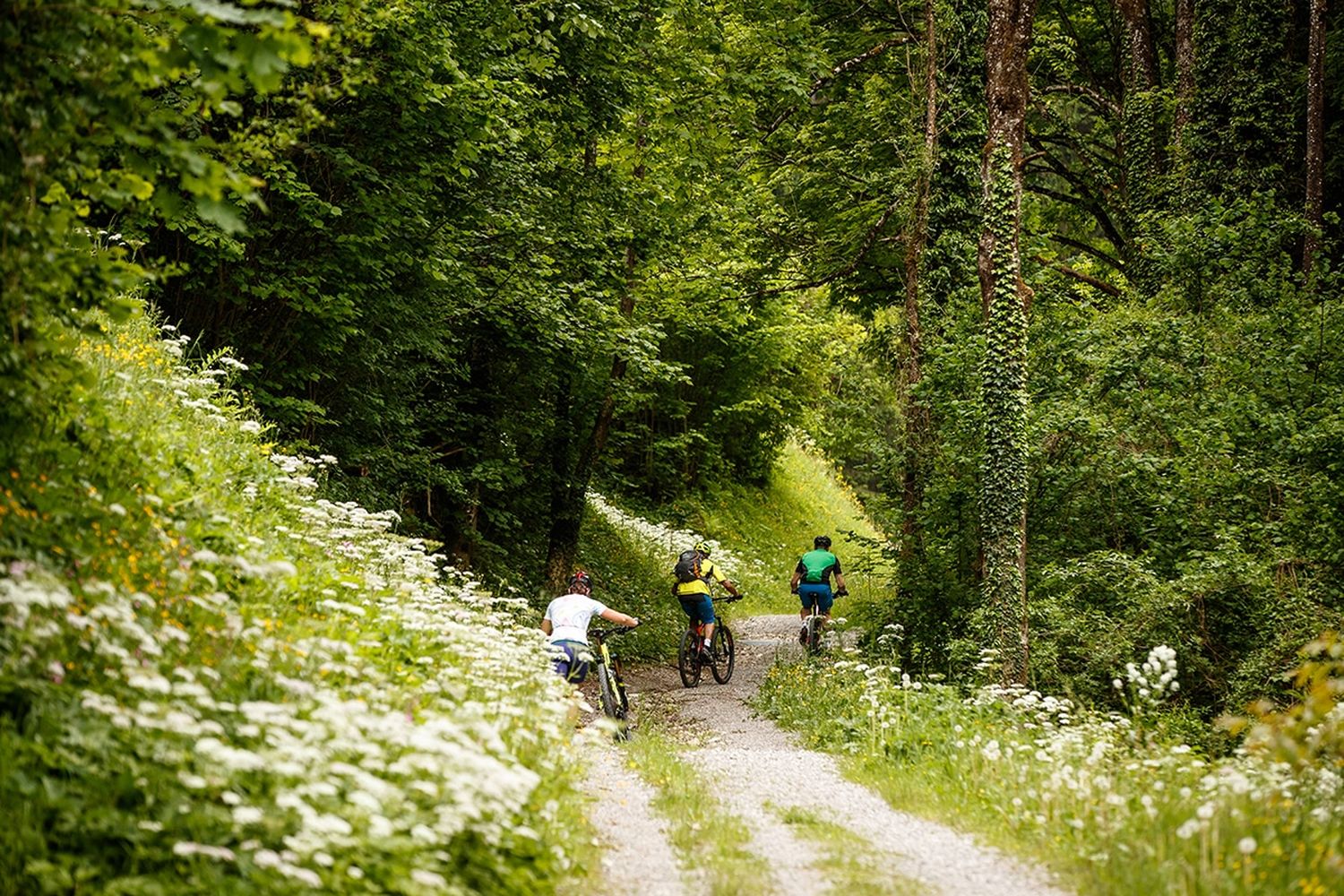 NationalparkKalkalpenMountainbikenGruppeFruehling OberoesterreichTourismusGmbHErwinHaiden