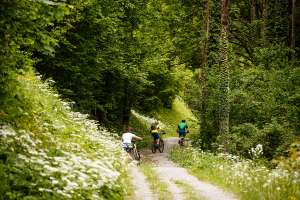 NationalparkKalkalpenMountainbikenGruppeFruehling OberoesterreichTourismusGmbHErwinHaiden