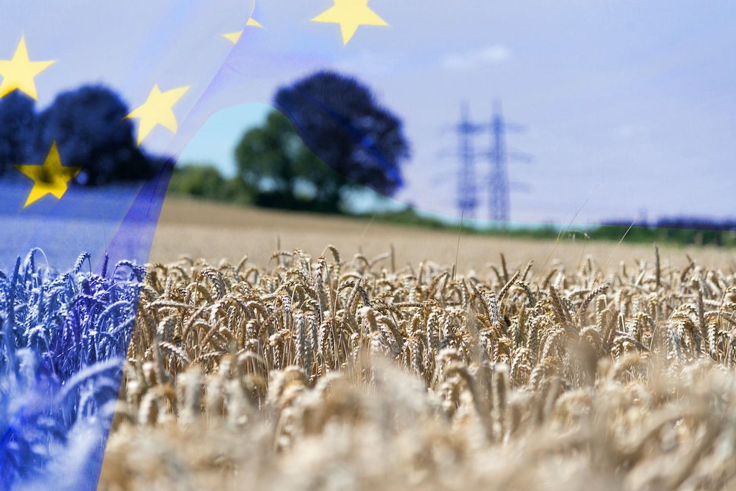 Flagge Der Europäischen Union EU Und Die Landwirtschaft In Europa