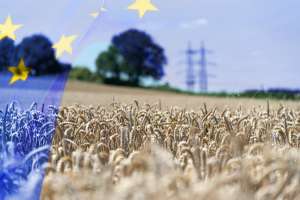 Flagge Der Europäischen Union EU Und Die Landwirtschaft In Europa