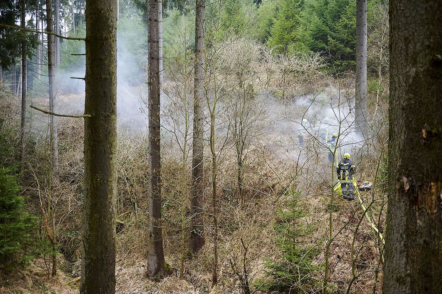 Waldbrandübung im ÖBf-Forstrevier Weißenkirchen