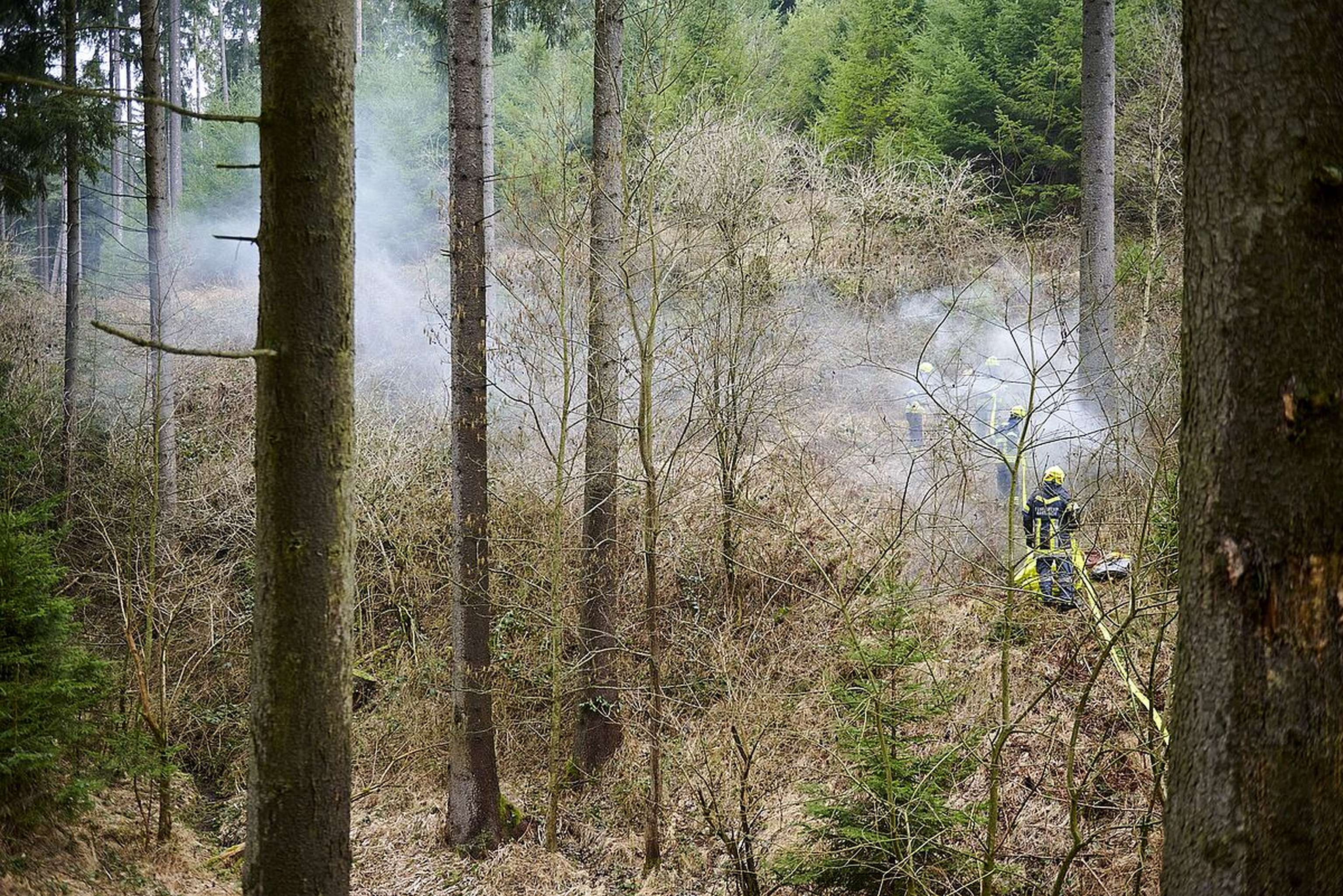 Waldbrandübung im ÖBf-Forstrevier Weißenkirchen