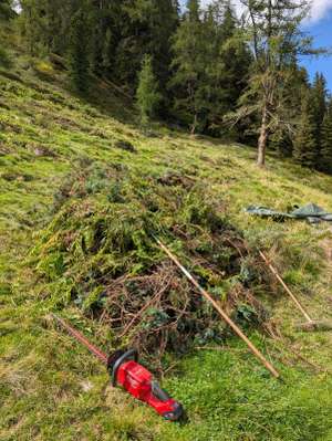 Rote Akku-Heckenschere der Marke Milwaukee liegt auf einer Bergwiese neben einem Haufen geschnittener Äste und Rechen, im Hintergrund Nadelwald.