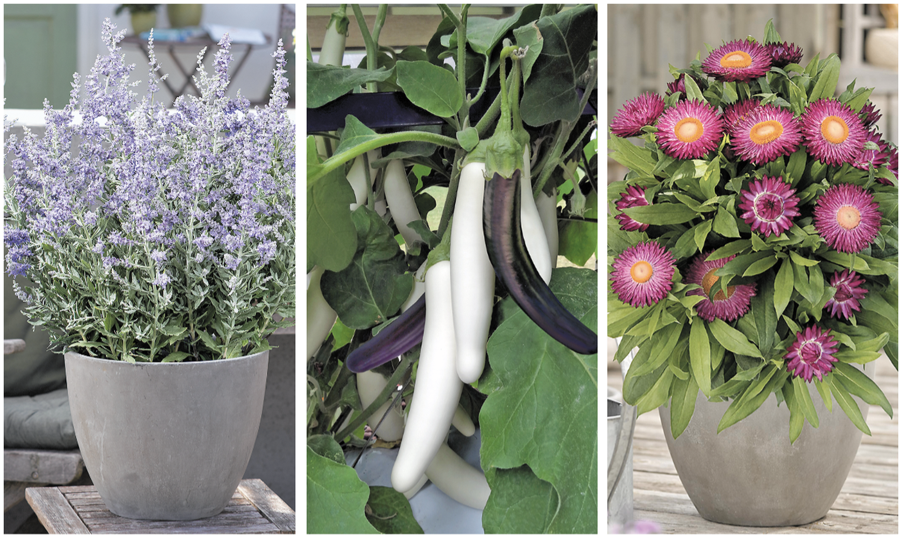 Bildschirmfoto 2024 02 14 Um 14.20.55 (2)