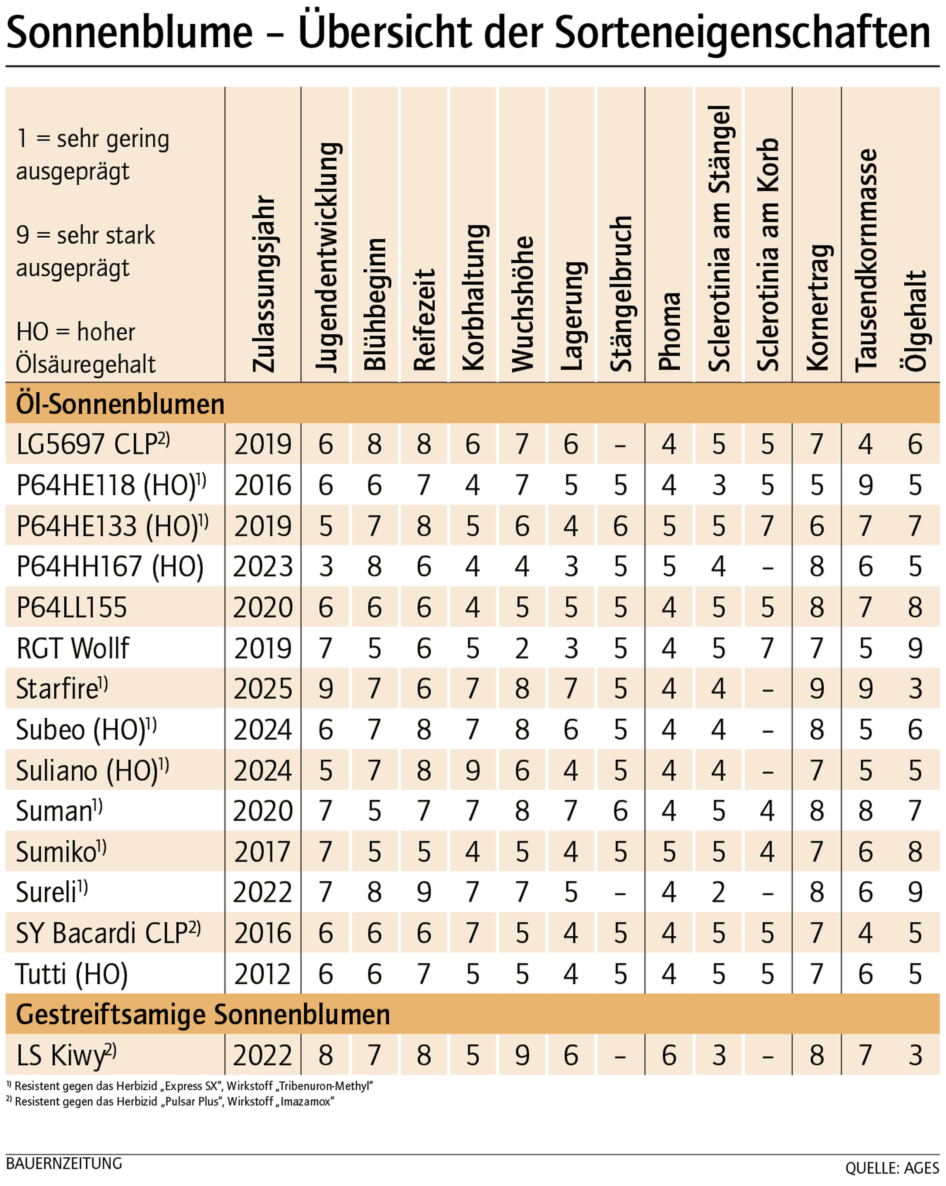 Sonnenblume - Übersicht der Eigenschaften_KW06