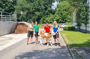 Während dem Praxisunterricht sind die Schülerinnen am Lehrbetrieb im Einsatz.