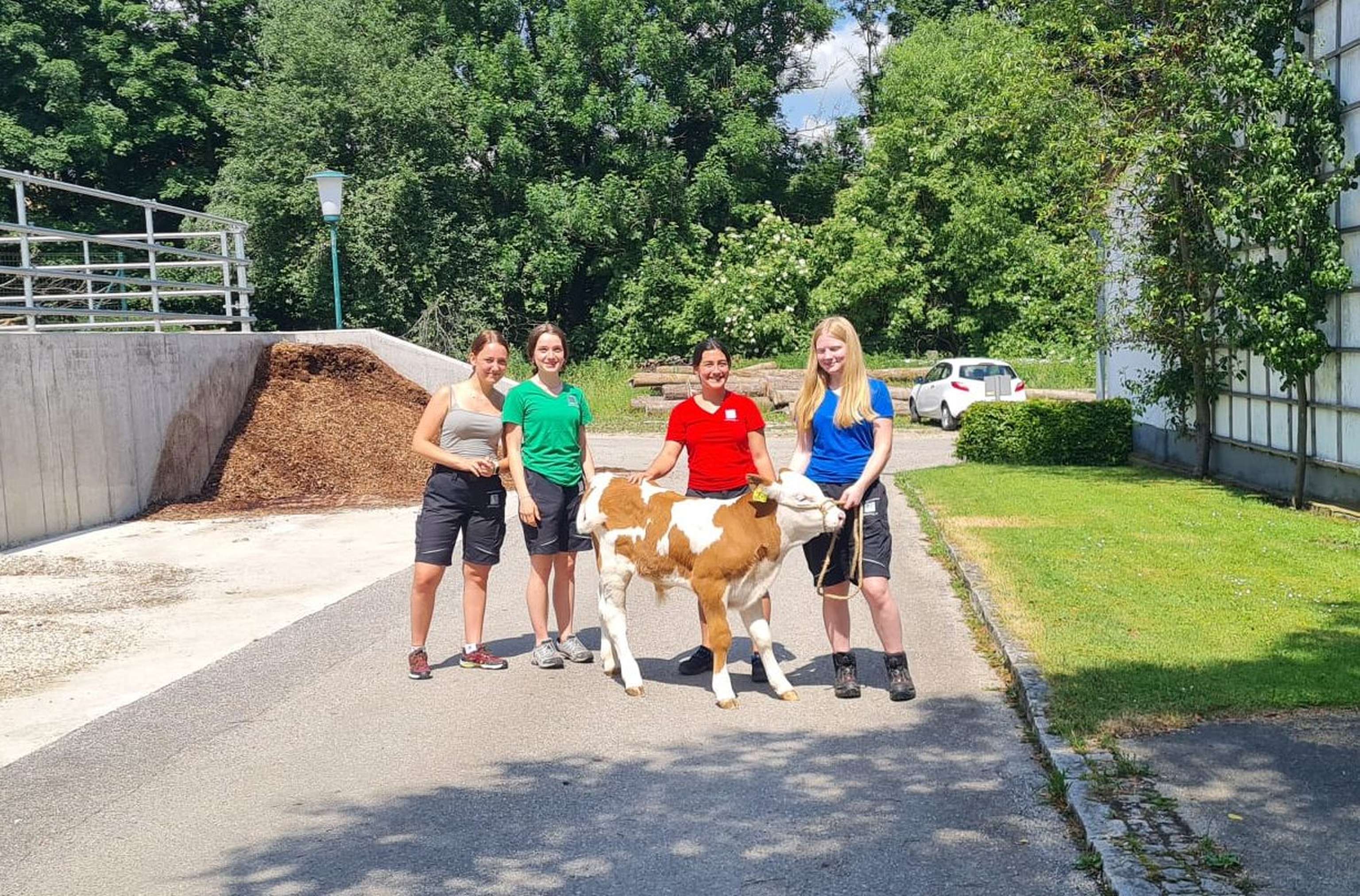 Während dem Praxisunterricht sind die Schülerinnen am Lehrbetrieb im Einsatz.