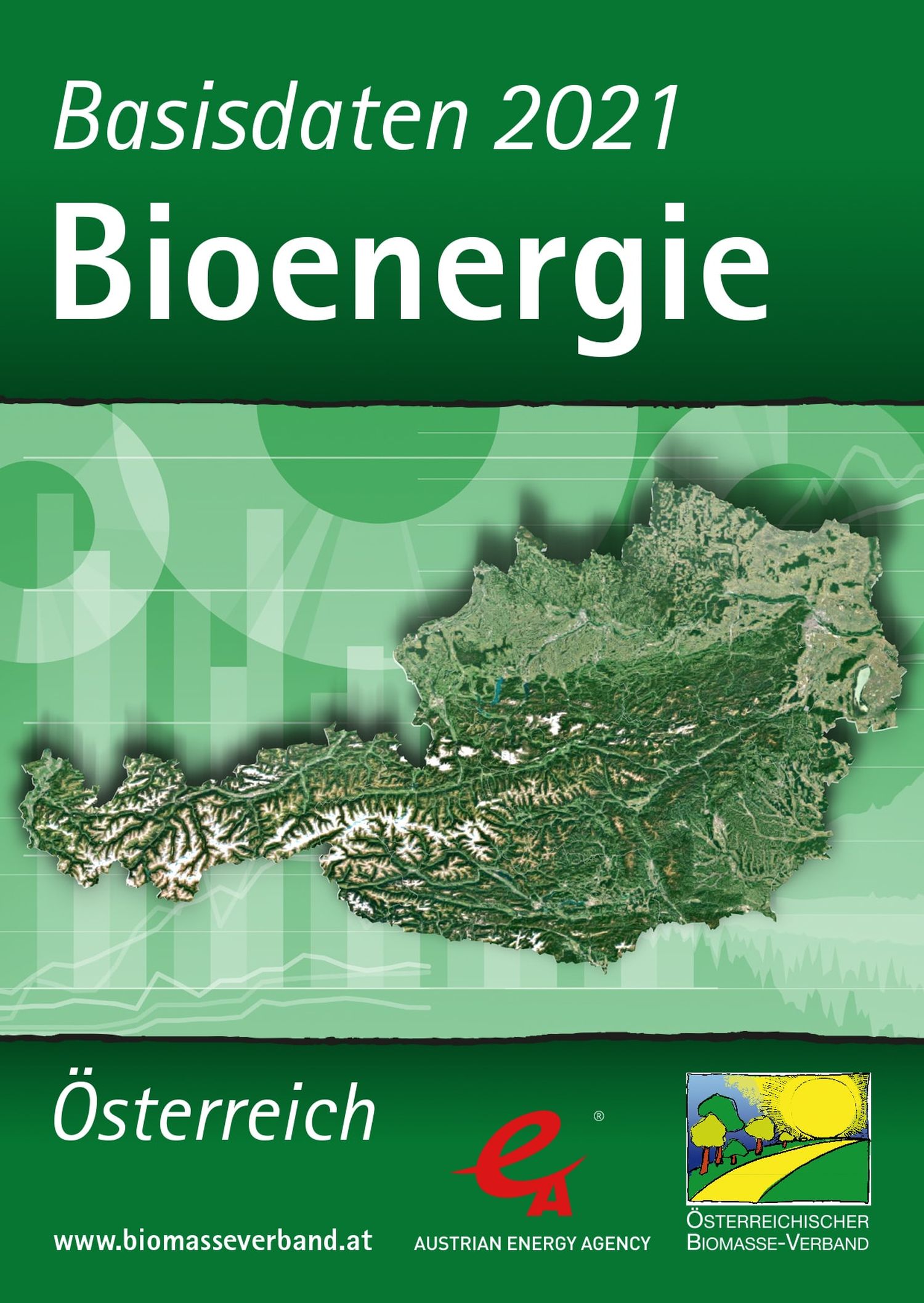 Basisdaten Bioenergie 2021 Cover