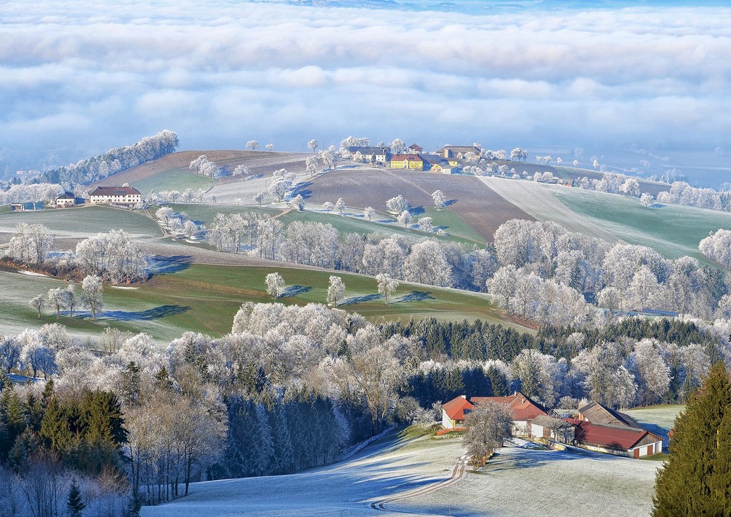 Landtechnik-Händler stellen ihr Produktprogramm vor.