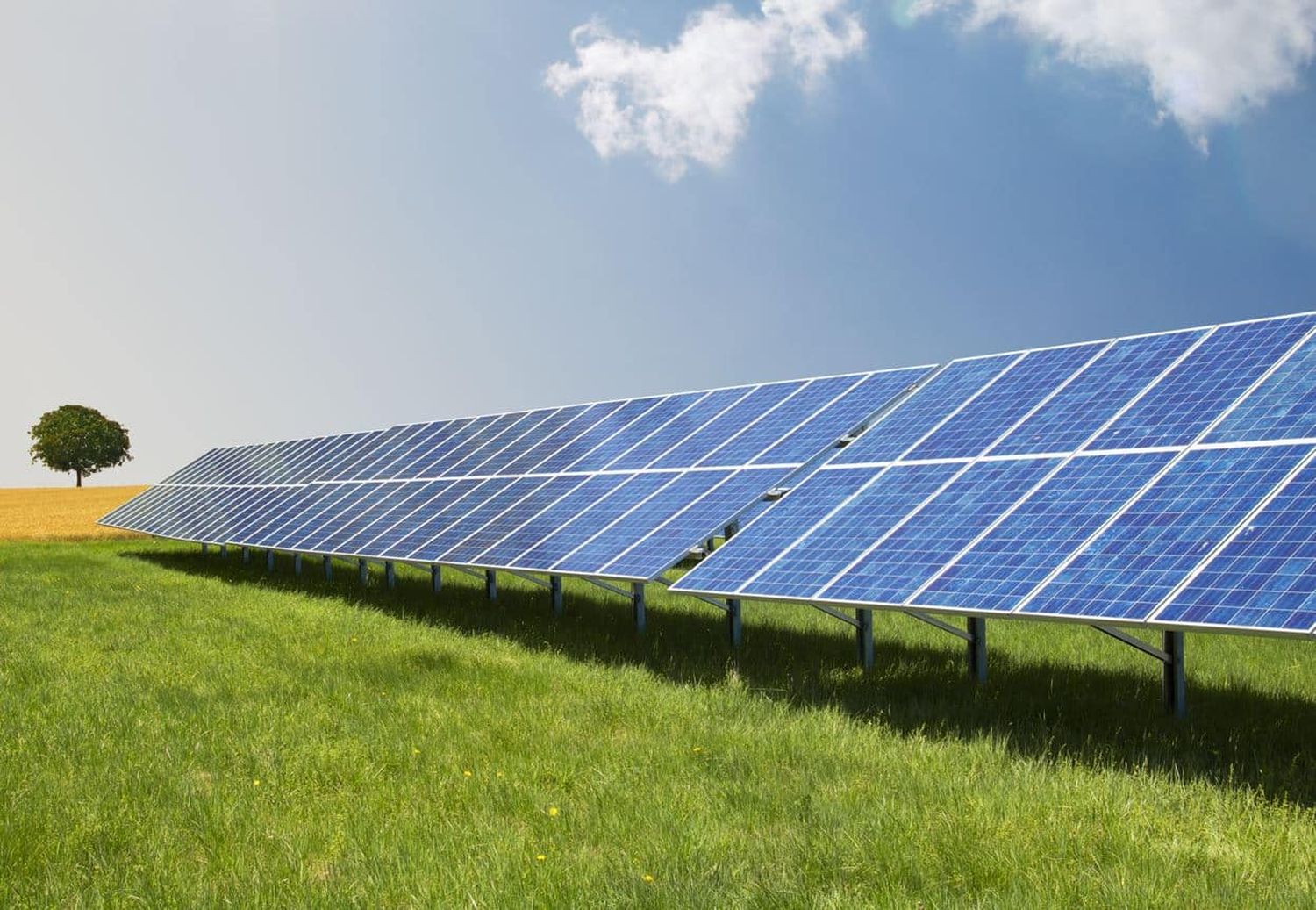 Agri-PV-Anlage