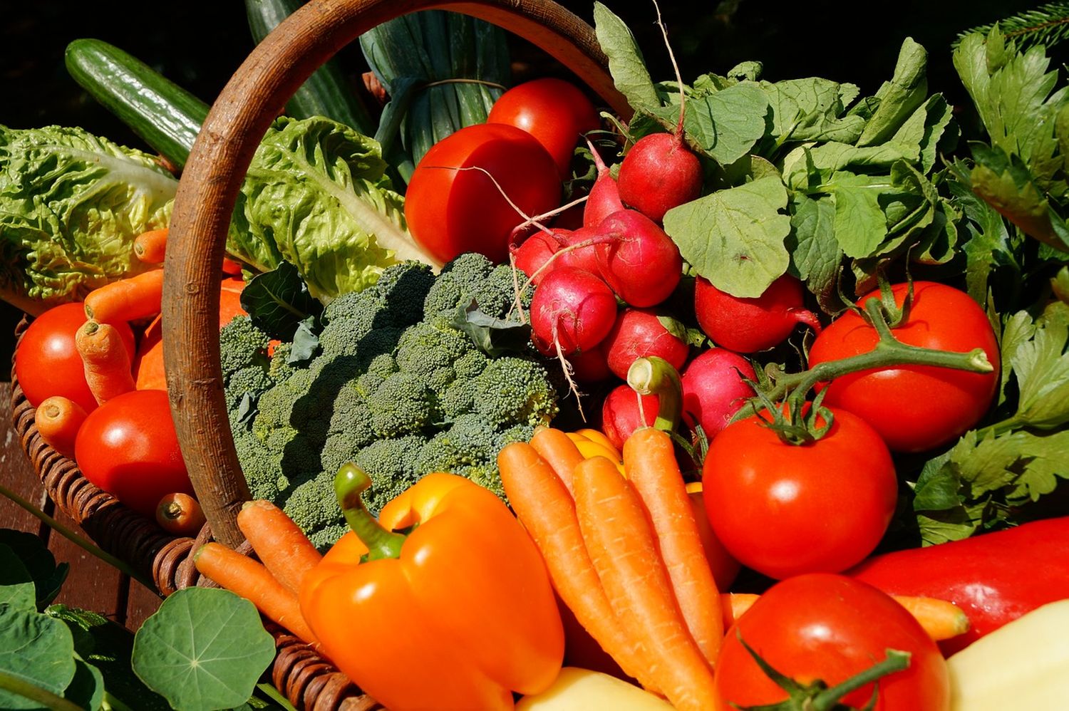 vegetables-3386212_1280-Kopie.jpeg