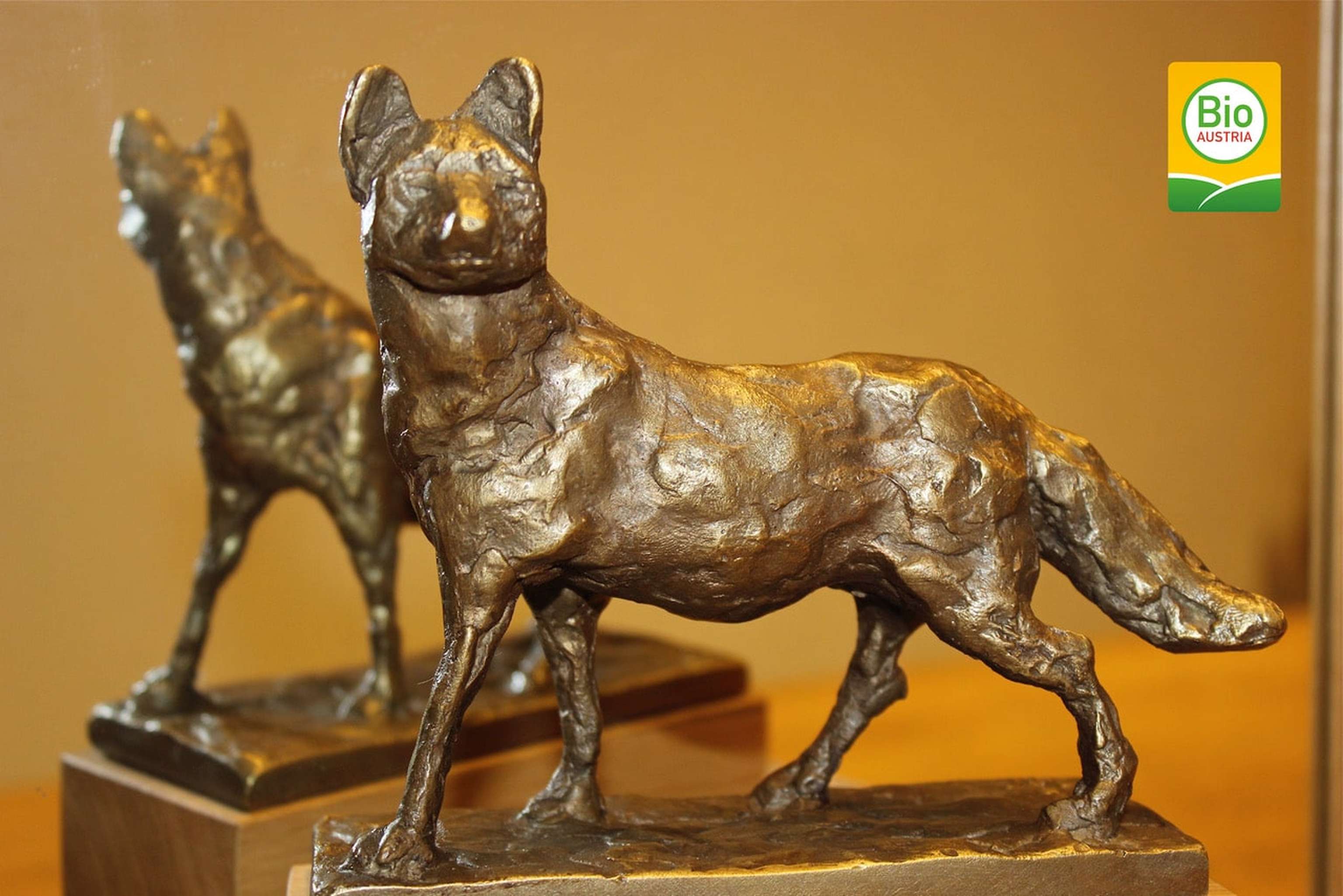 Foto BioFuchs Mit Logo