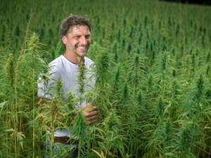 Michael Halbfurter in seiner Hanfplantage