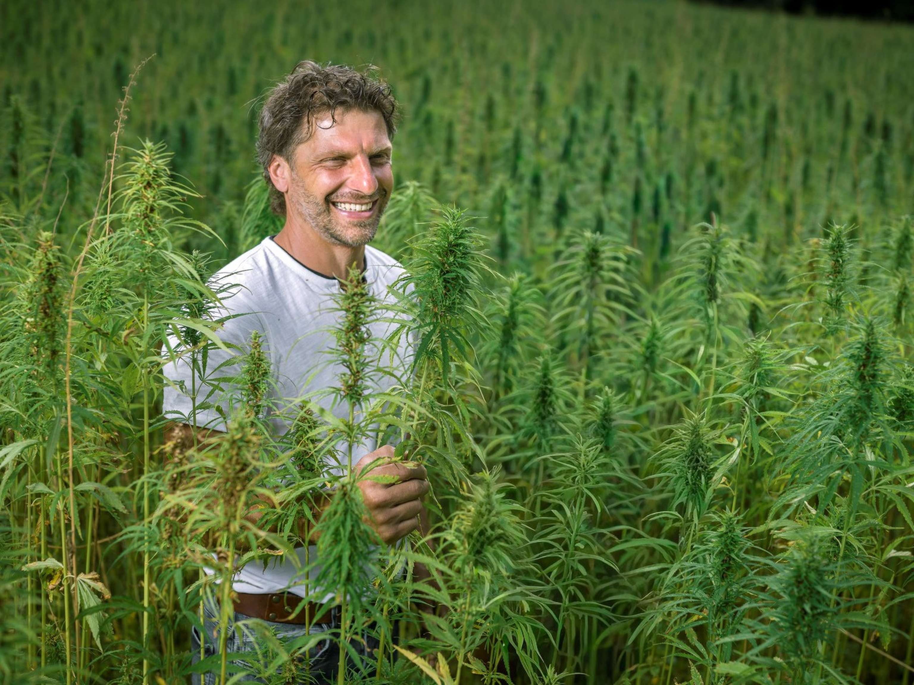 Michael Halbfurter in seiner Hanfplantage
