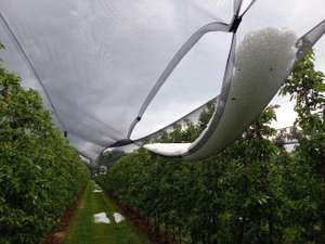 Hagel