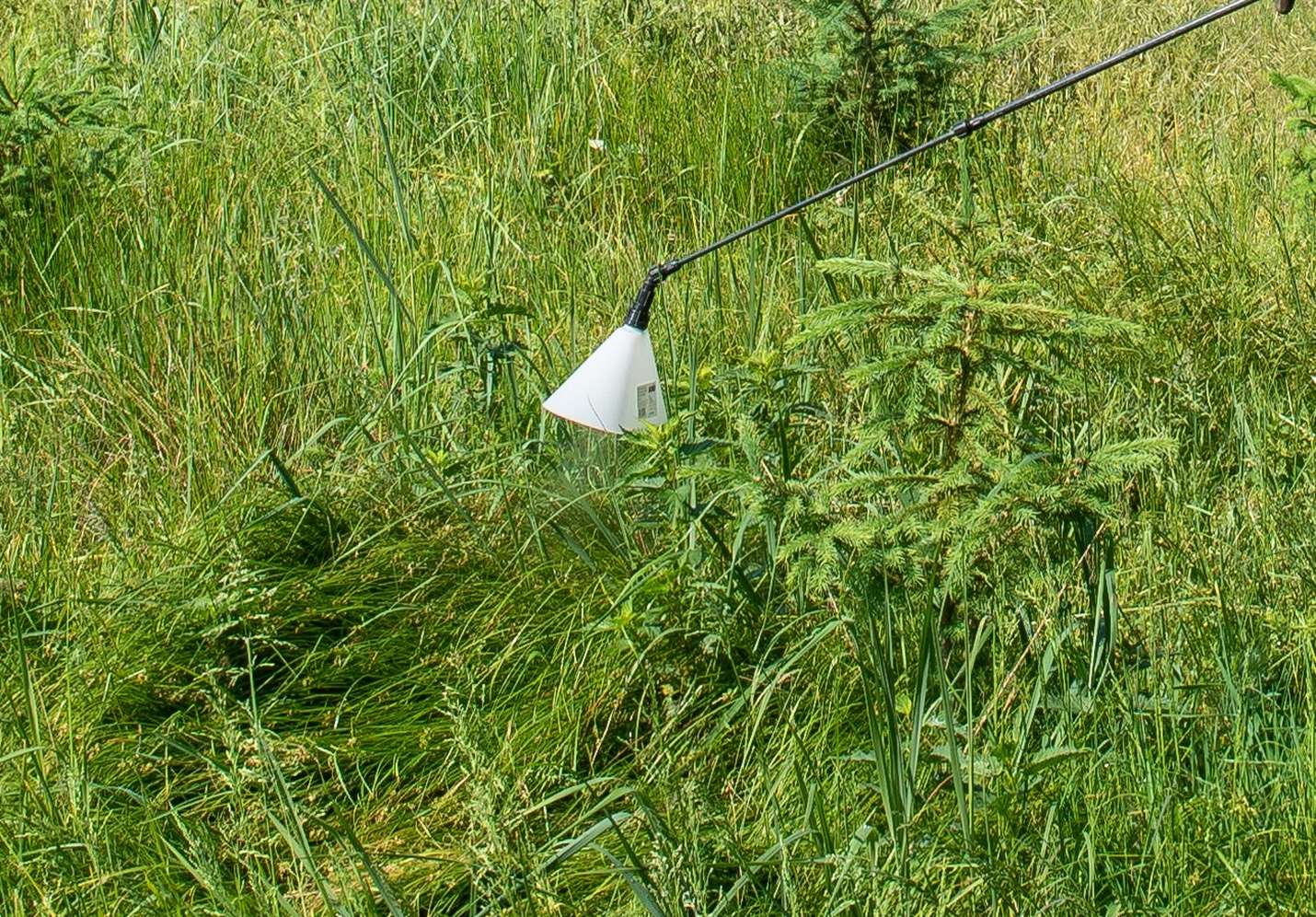 Pflanzenschutz im Forst