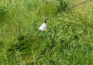 Pflanzenschutz im Forst